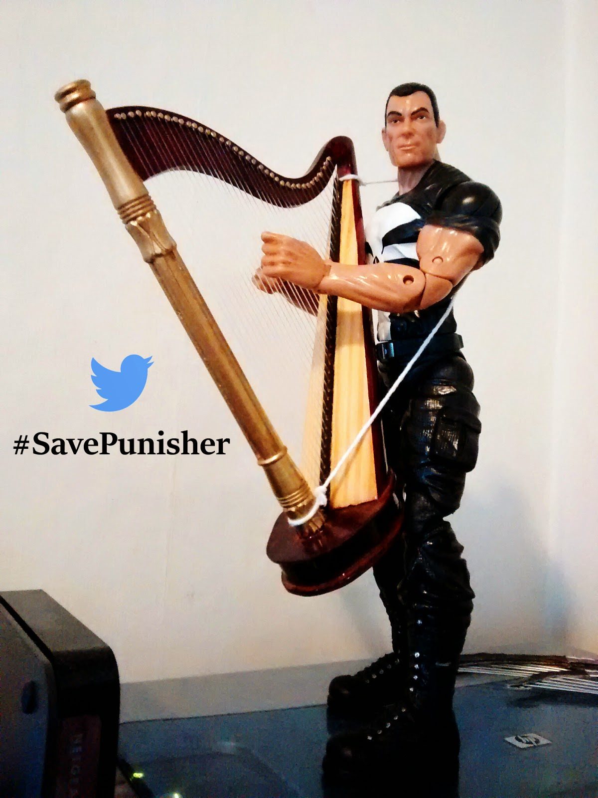#SavePunisher