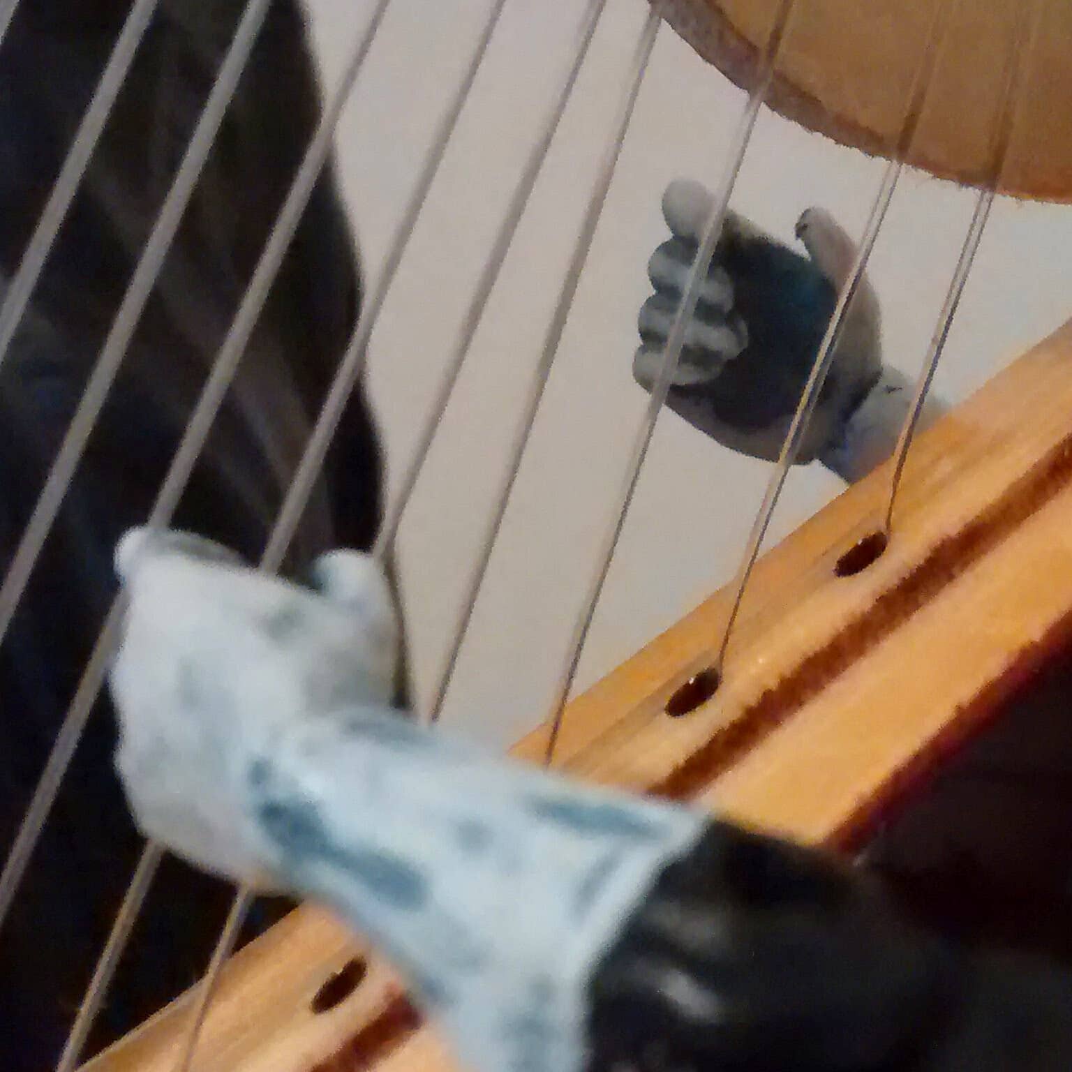 Harp Hands Close Up.
