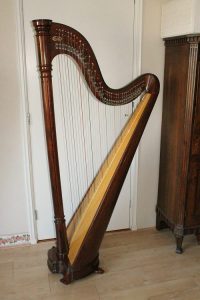 The Salvi Ana harp I'd rather play!
