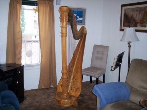 The Venus Calssic Harp I once rented from Budget Harp Rentals from Jacksonville, FL. 