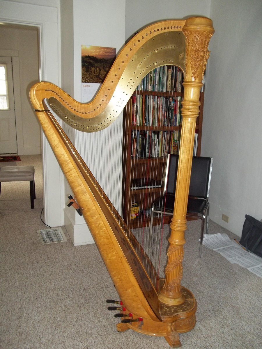 Gilligan, The Venus Classic Harp I rented from Budget Harp Rentals 2.