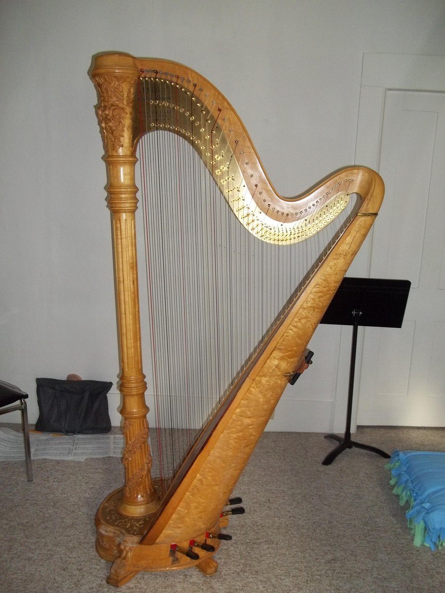 Gilligan, The Venus Classic Harp I rented from Budget Harp Rentals. 