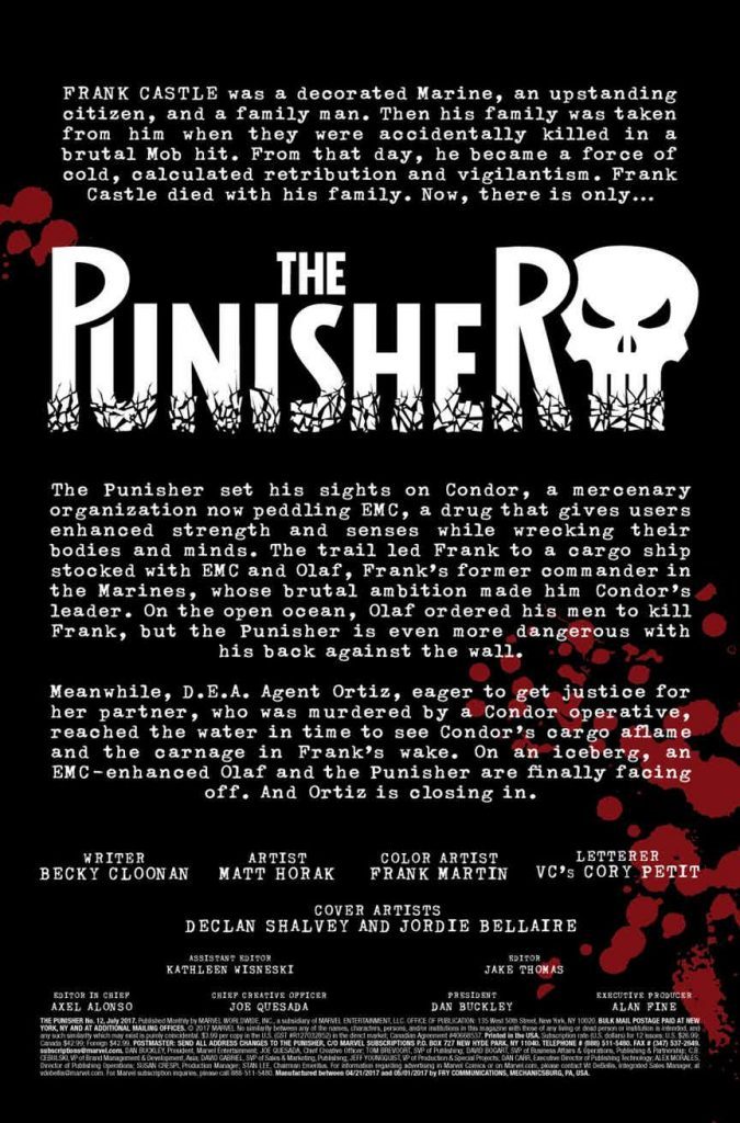 Summary to Punisher #12
